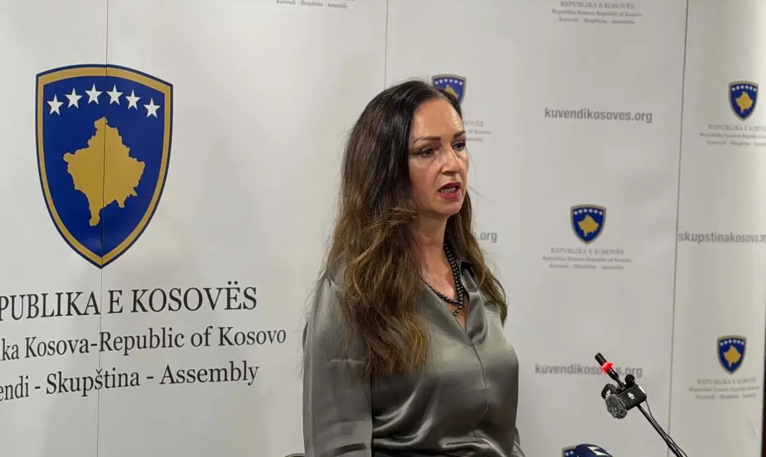 Nagavci tregon çfarë do të hetojë Komisioni për rastin e Arlinda Zekajt