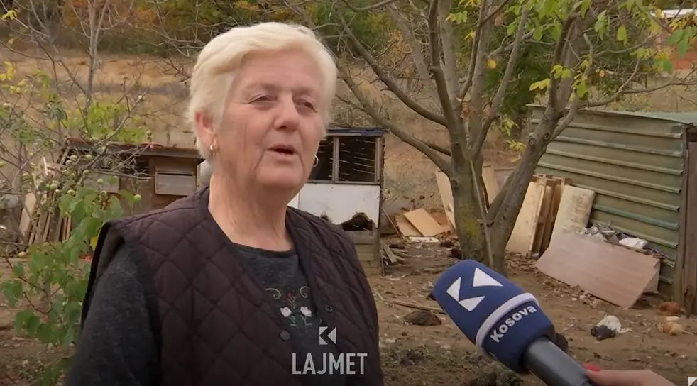 Ankohet prishtinasja: Qentë endacakë ia ‘kollofitën” pulat (VIDEO)