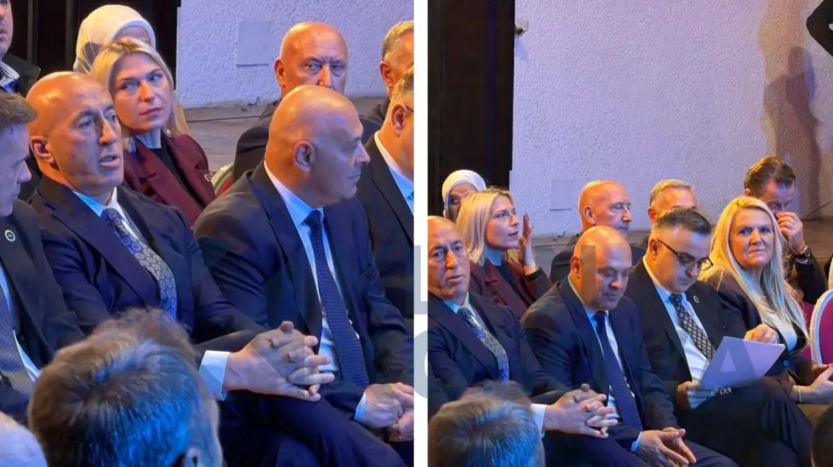 Fillon takimi i kryetarit Gjini me strukturat e Aleancës