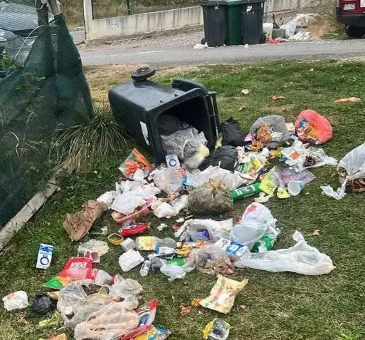 Mbeturinat ‘mbulojnë’ Nerodimen, banorët kërkojnë zgjidhje!