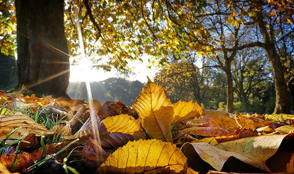 Moti: Nga 1°C në 19°C, vranësira dhe intervale me diell