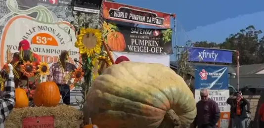 Kungulli me peshë gati 1.5 kg po shqyrtohet për një rekord të mundshëm botëror