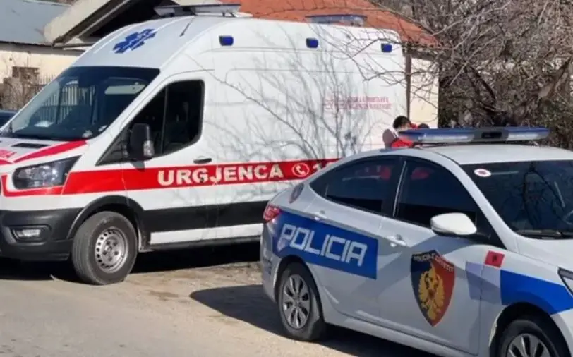 E rëndë në Shqipëri, burri plagos bashkëshorten me sqepar! Në gjendje kritike në spital