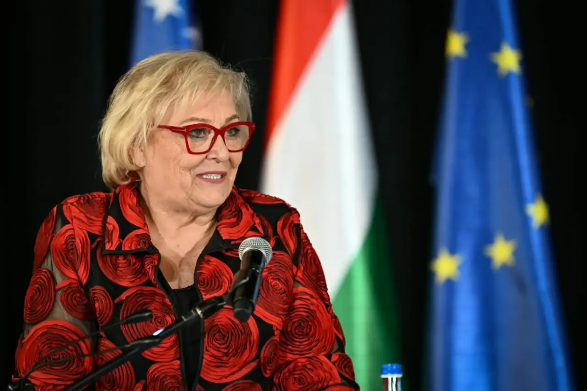 Paçarizi: Presidentja duhet të jetë pjesë aktive e Grupit Punues të Apelit në Hagë