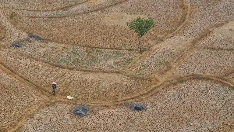 Pesë mënyra se si “El Nino” ndikon në motin në mbarë botën