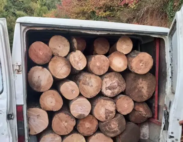 Policia konfiskon dy furgonë që transportonin dru ilegalisht në Shtërpcë